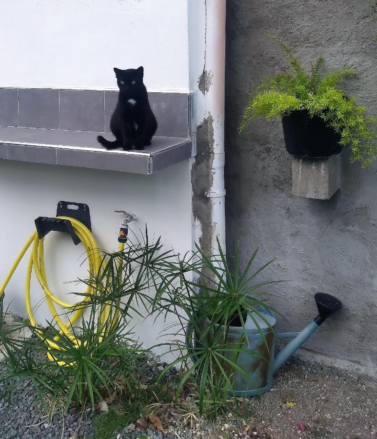 Chambre Avec Cuisine Et Sdb Semi-Privatives Separees Dans Un Ecrin De Verdure Les Abymes Exterior foto