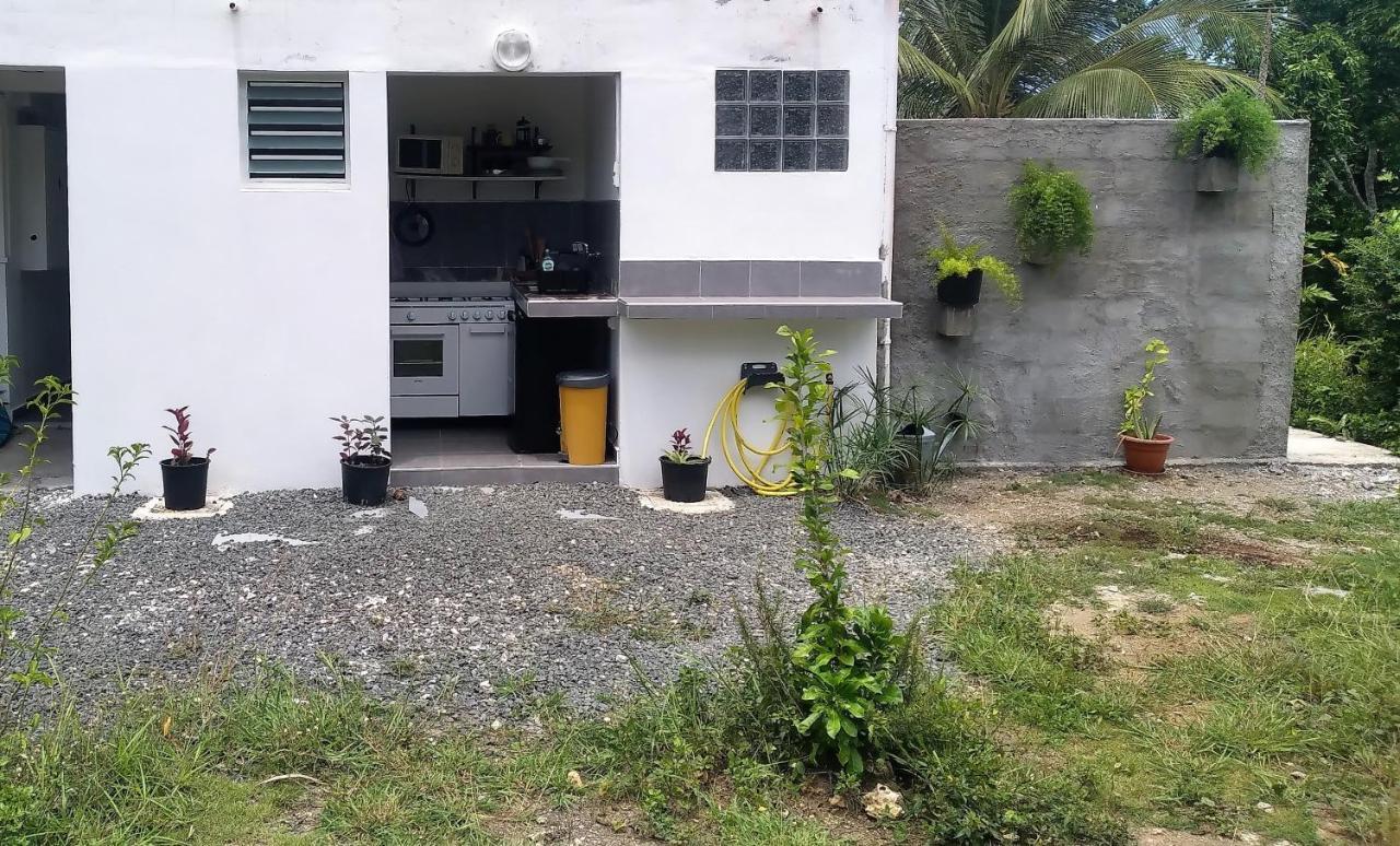 Chambre Avec Cuisine Et Sdb Semi-Privatives Separees Dans Un Ecrin De Verdure Les Abymes Exterior foto