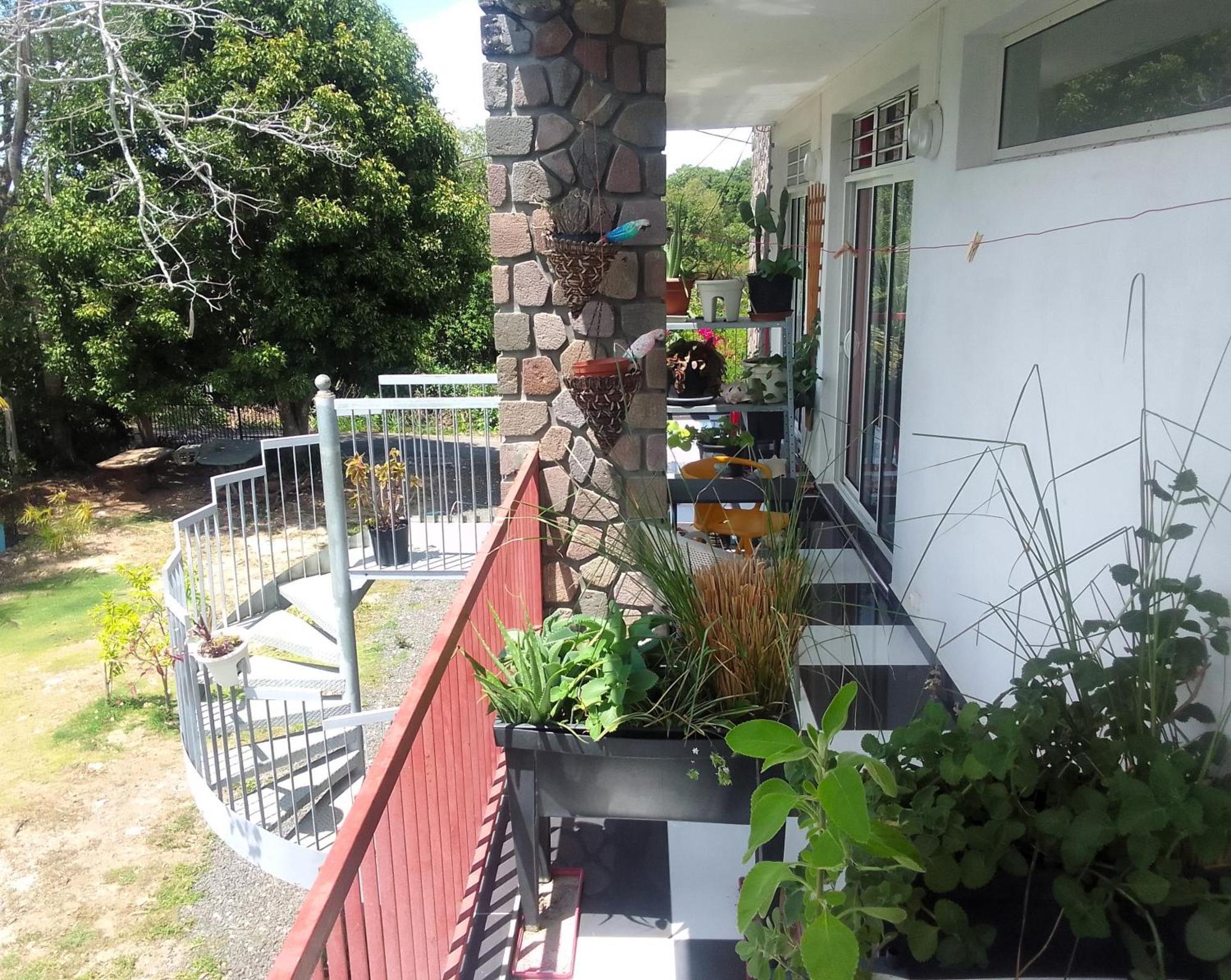 Chambre Avec Cuisine Et Sdb Semi-Privatives Separees Dans Un Ecrin De Verdure Les Abymes Exterior foto