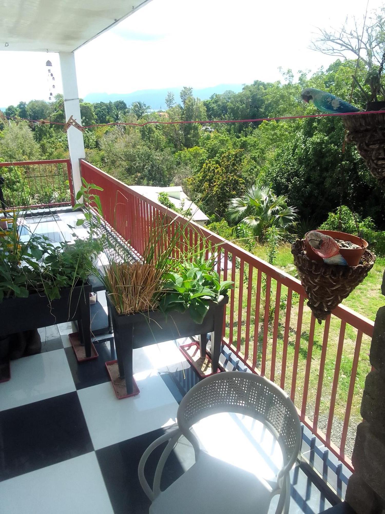 Chambre Avec Cuisine Et Sdb Semi-Privatives Separees Dans Un Ecrin De Verdure Les Abymes Exterior foto